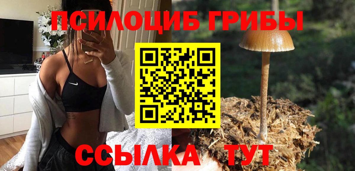Псилоцибиновые грибы мицелий  Вход с VPN  Галлюциногенные грибы прущие грибы  Дзержинский 